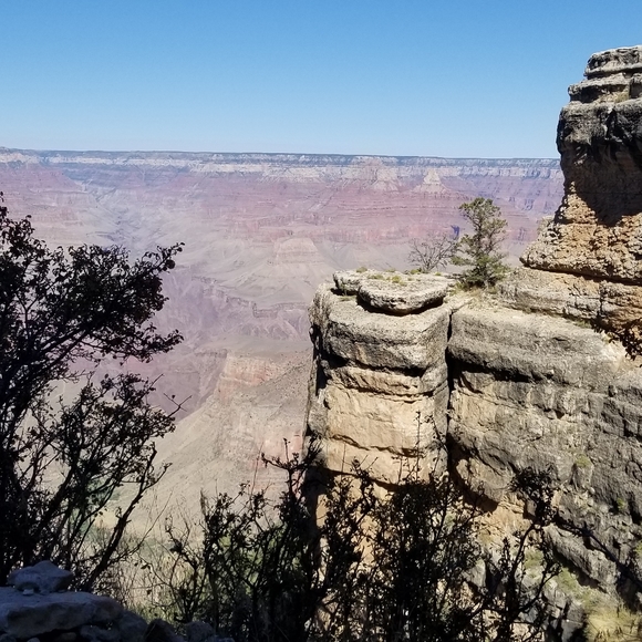 Meet your Posher, Phyllis - Picture 2 of 2